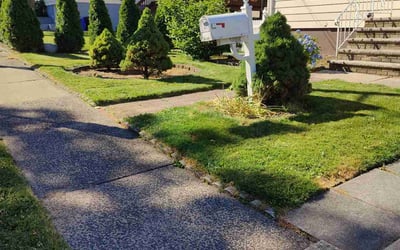 Photo of Patricia K.'s yard after getting lawn care in Hoboken, NJ