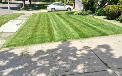 Photo of Alex C.'s yard after getting lawn care in Mason, MI