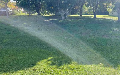 Photo of Diane W.'s yard after getting lawn care in Finleyville, PA