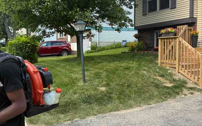 Photo of Chris M.'s yard after getting lawn care in Austin, TX