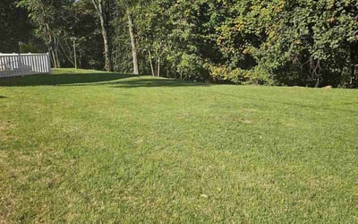 Photo of Isabelle C.'s yard after getting lawn care in Hawthorne, NJ