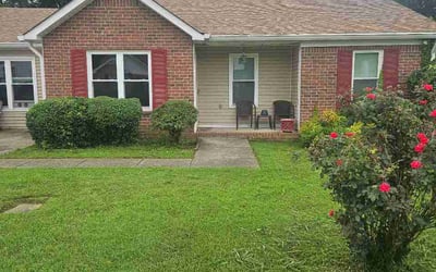 Photo of Cristian P.'s yard after getting lawn care in Balch Springs, TX