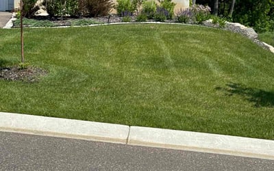 Photo of Candie B.'s yard after getting tree care in Cottage Grove, MN