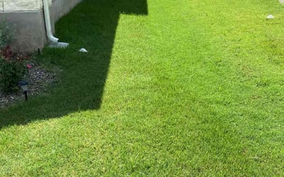 Photo of Andrea M.'s yard after getting lawn care in Hutto, TX