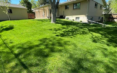 Photo of Melanie A.'s yard after getting lawn care in Highlands Ranch, CO