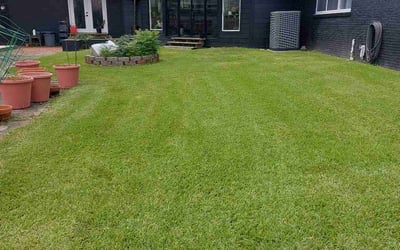 Photo of Ricky G.'s yard after getting lawn care in Shallotte, NC