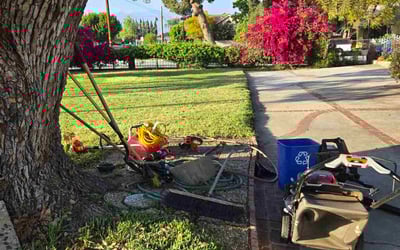 Photo of Nishi P.'s yard after getting lawn care in El Monte, CA