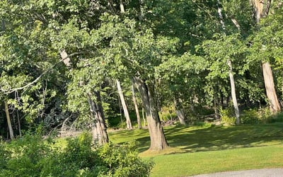 Photo of Patricia M.'s yard after getting lawn care in Brewster, NY