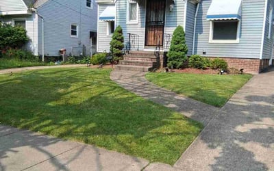 Photo of Tonja L.'s yard after getting lawn care in Southfield, MI