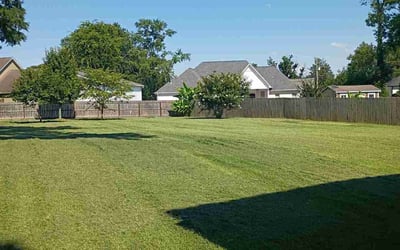 Photo of Lea L.'s yard after getting lawn care in Tucker, GA