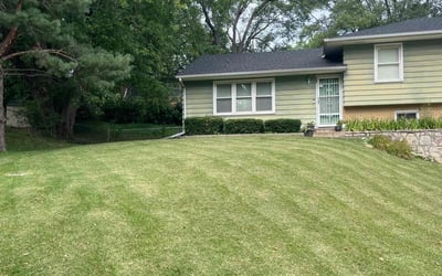 Photo of Brandon W.'s yard after getting lawn care in Kansas City, MO