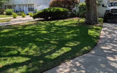 Photo of Ajai A.'s yard after getting lawn care in Dublin, OH