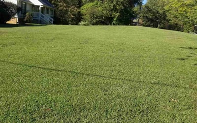 Photo of LaShonda P.'s yard after getting lawn care in Northport, AL