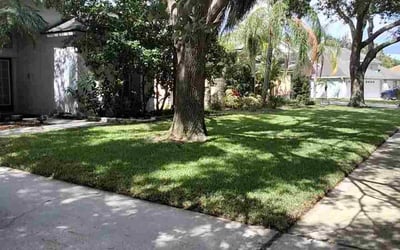 Photo of Sherri H.'s yard after getting lawn care in Clemson, SC