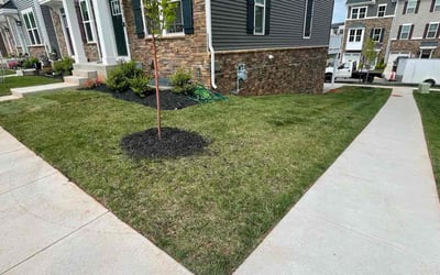 Photo of Josh P.'s yard after getting lawn care in Sterling, VA