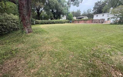 Photo of Kasey D.'s yard after getting lawn care in Londonderry, NH