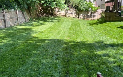 Photo of Ken C.'s yard after getting lawn care in Harker Heights, TX