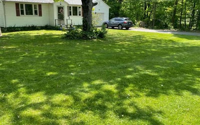 Photo of Debbie P.'s yard after getting lawn care in Coventry, CT