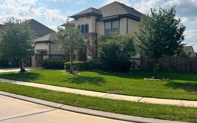 Photo of Jennifer E.'s yard after getting lawn care in Carteret, NJ