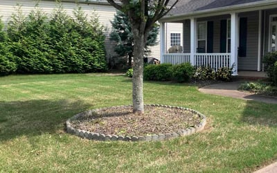 Photo of Darryl M.'s yard after getting lawn care in Madison, AL