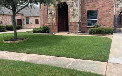 Photo of Curtis C.'s yard after getting lawn care in Keller, TX