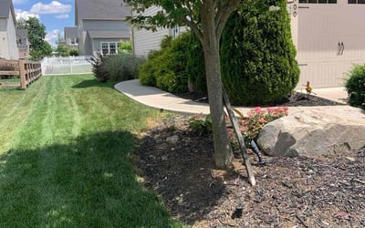 Photo of Susan B.'s yard after getting lawn care in Delaware, OH