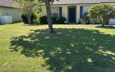 Photo of Nicole L.'s yard after getting lawn care in Danvers, MA