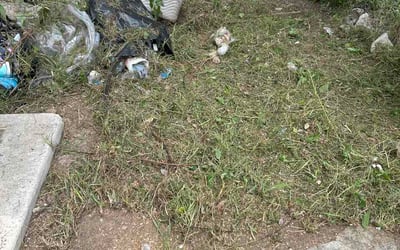 Photo of Sang L.'s yard after getting lawn care in Haverhill, MA