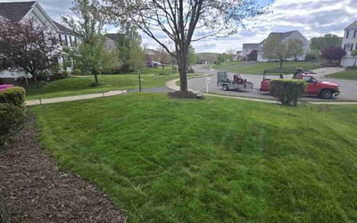 Photo of Noah D.'s yard after getting lawn care in Gibsonia, PA