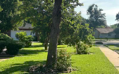 Photo of Miguel M.'s yard after getting lawn care in Luling, TX