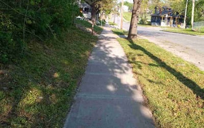 Photo of Denise F.'s yard after getting lawn care in Lebanon, PA