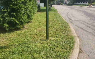 Photo of Bret K.'s yard after getting lawn care in Ozone Park, NY