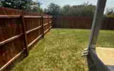 Photo of Robyn O.'s yard after getting lawn care in Braintree, MA