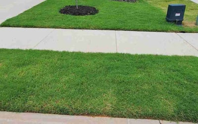 Photo of Taylor H.'s yard after getting lawn care in Amesbury, MA