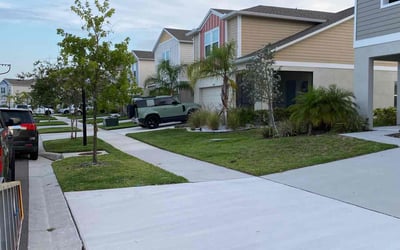 Photo of Kathi D.'s yard after getting lawn care in Laguna Hills, CA