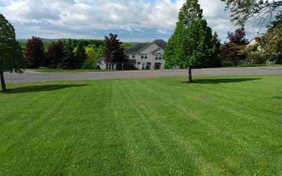 Photo of Rob C.'s yard after getting lawn care in Fulton, NY