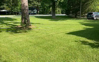Photo of Alvyna E.'s yard after getting lawn care in Stoneham, MA