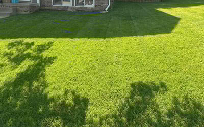 Photo of Wanda S.'s yard after getting lawn care in Natick, MA