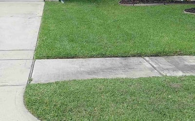 Photo of Scotti H.'s yard after getting lawn care in Helotes, TX