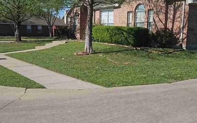 Photo of Donderayia S.'s yard after getting lawn care in Allen, TX