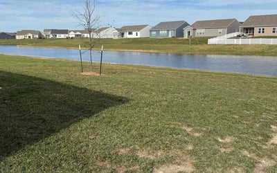 Photo of Trevor E.'s yard after getting lawn care in Wyandotte, MI