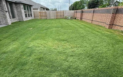 Photo of Mark M.'s yard after getting lawn care in Katy, TX