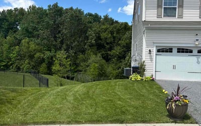 Photo of Paul N.'s yard after getting lawn care in Middle River, MD
