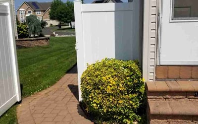 Photo of Cheyenne R.'s yard after getting lawn care in Spring, TX