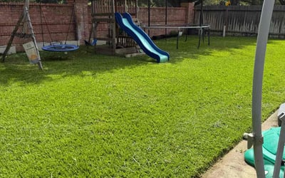 Photo of Mary K.'s yard after getting lawn care in Grayslake, IL