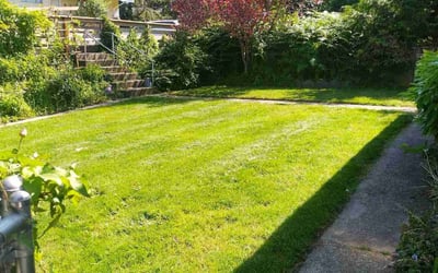 Photo of Scott W.'s yard after getting lawn care in Stanwood, WA