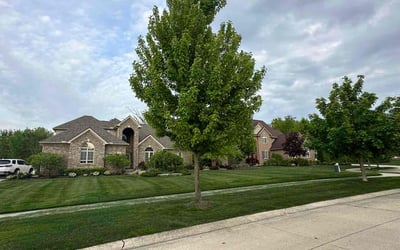 Photo of Mary S.'s yard after getting lawn care in South Lyon, MI