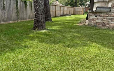 Photo of Michelle H.'s yard after getting lawn care in Elmont, NY