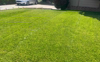 Photo of Sean F.'s yard after getting lawn care in Sherman Oaks, CA