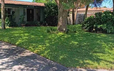 Photo of Candy V.'s yard after getting lawn care in Cocoa Beach, FL